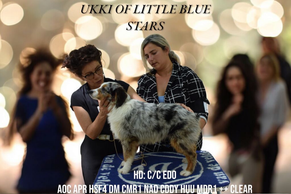 Ukki Of Little Blue Stars