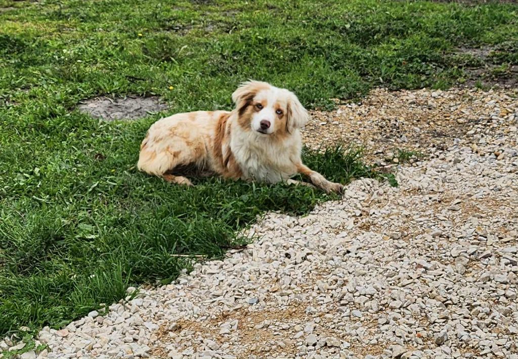 Twinkle little star des merveilles d'ilona